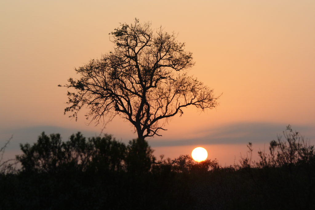 My Top 5 Highlights from South Africa's KwaZulu-Natal - Thonga Beach Lodge